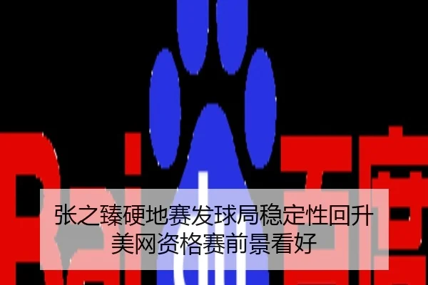 张之臻硬地赛发球局稳定性回升 美网资格赛前景看好